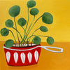 Red Pan and Plant