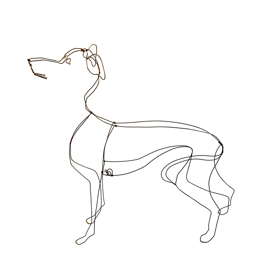 Greyhound