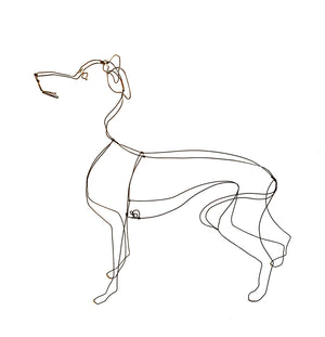 Greyhound