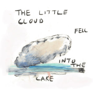 The Little Cloud Fell Into The Lake