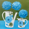 Hydrangeas on Blue