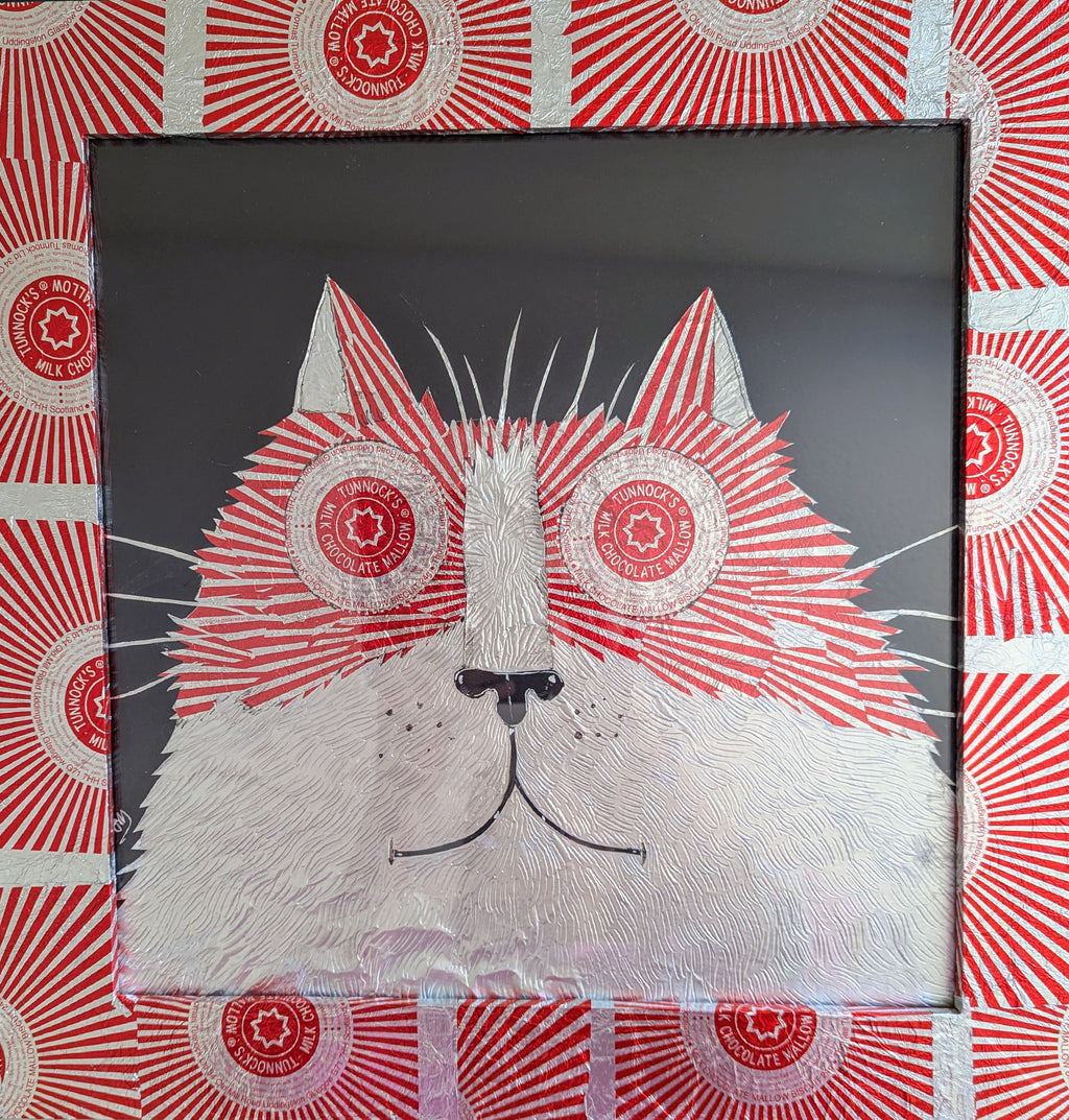 Wide-Eyed Cat