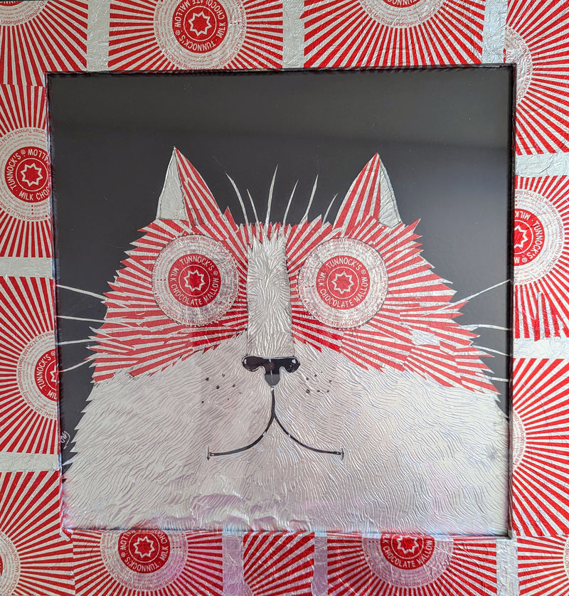 Wide-Eyed Cat