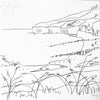 Cuckmere Reeds