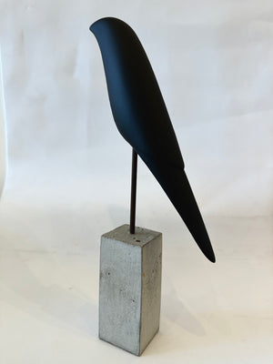 Black Bird A 019