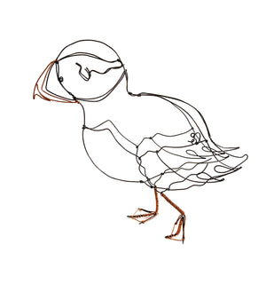 Puffin