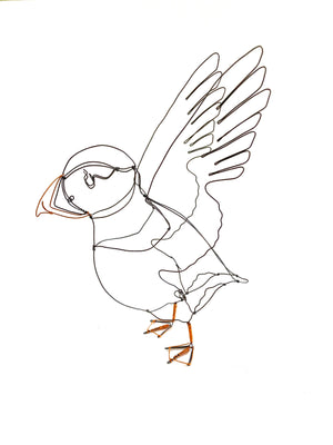 Flapping Puffin