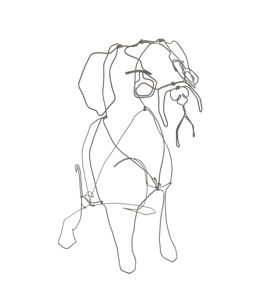 Pug