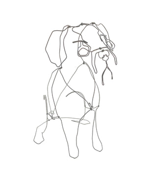 Pug