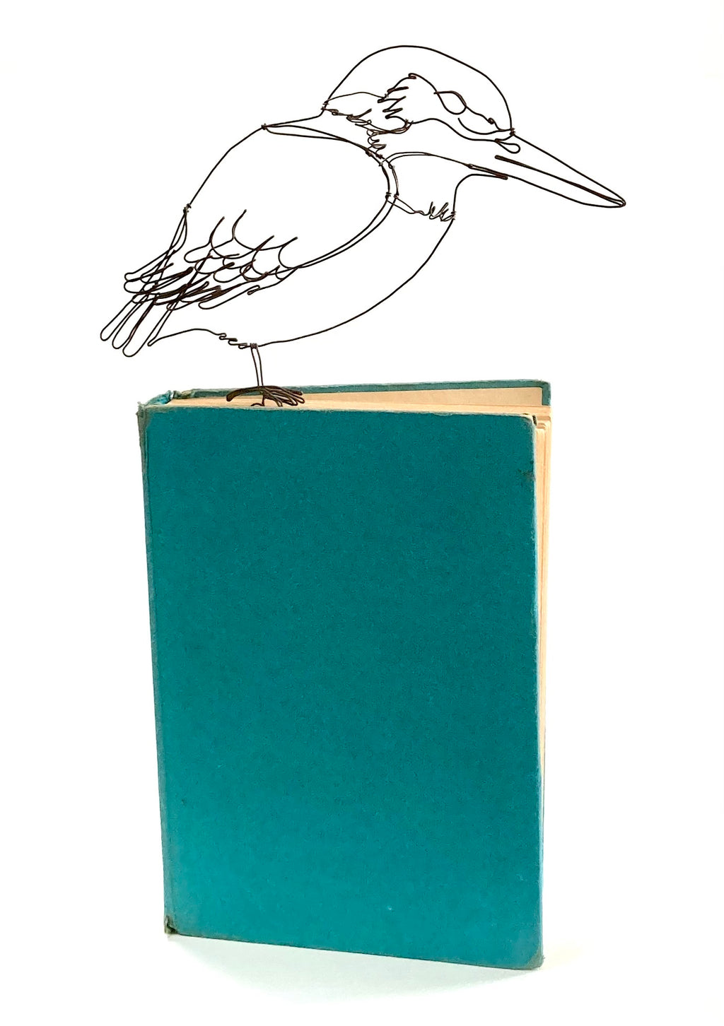 Kingfisher On Vintage Book
