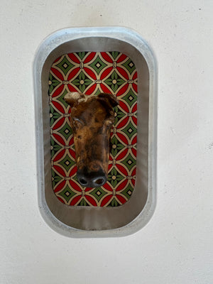 Doggy TinTin 21