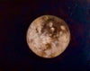 Flower Moon