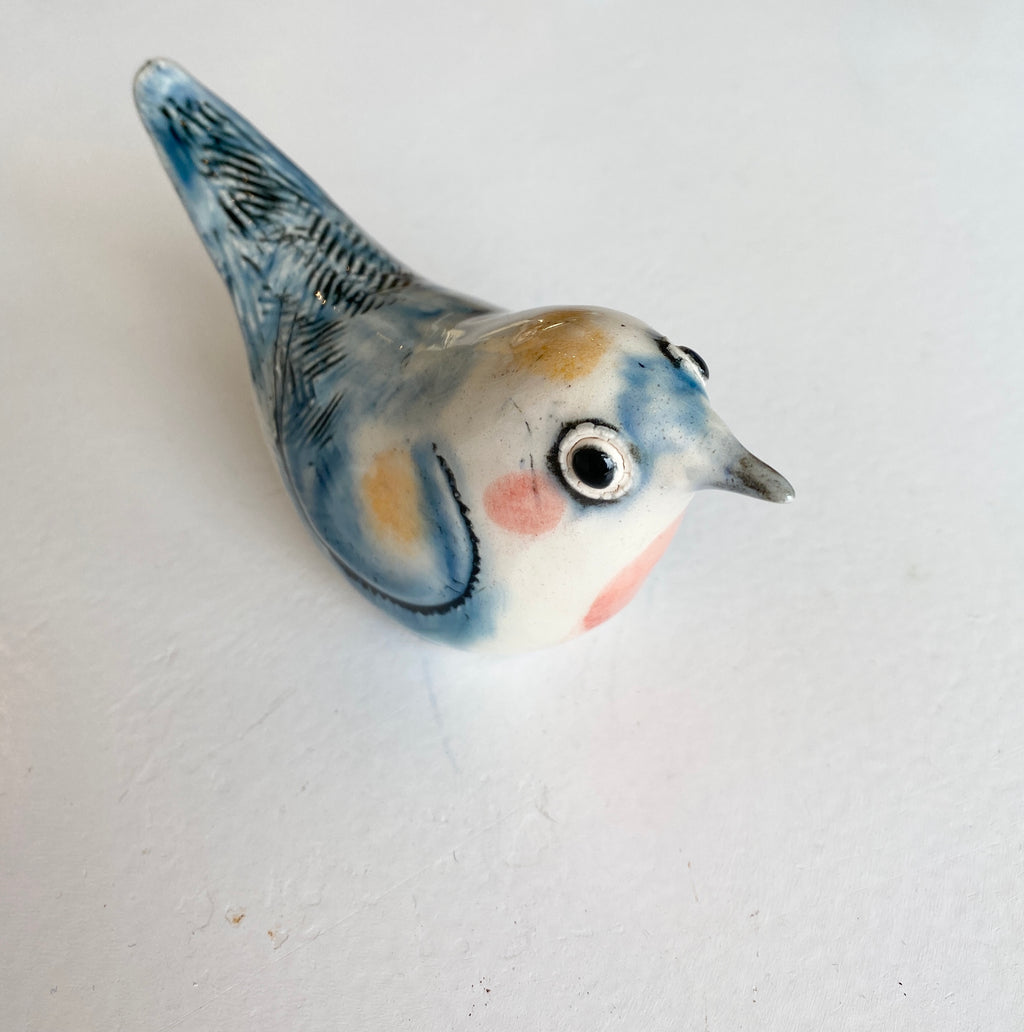 small blue bird