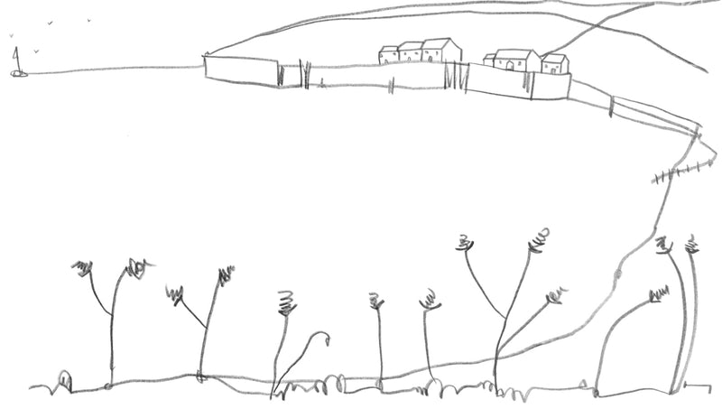 Original contemporary line drawing of Cuckmere, Sussex by Katty McMurray